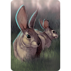 Ecosystème - Forêt, Origames