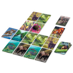 Ecosystème - Forêt, Origames