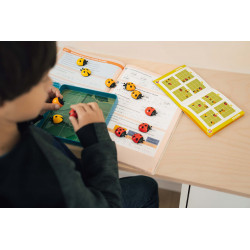 Coccinelles Demoiselles, magnétique, Smart Games