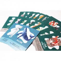 Micro Games, Matagot : l'ile des prédateurs