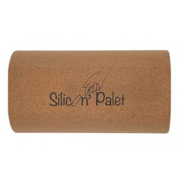 Silicon-Palets, le jeu de palets original