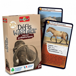Défi Nature - Animaux préhistoriques, Bioviva