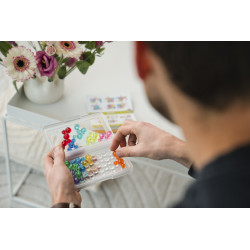 IQ Bubbles, Smart Games