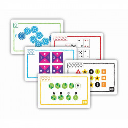Logic Cards, modèle bleu