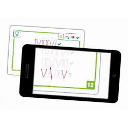 Logic Cards, modèle violet