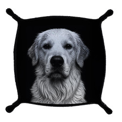 Piste de dés, modèle Golden for Ever, Immersion