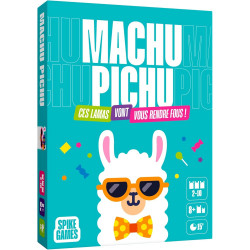 Machu Pichu, Gigamic et Spikegames