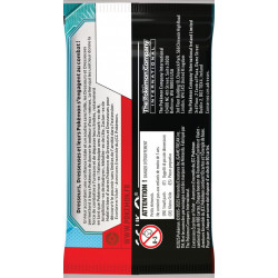 Pokémon, Aventure Ensemble EV09, booster