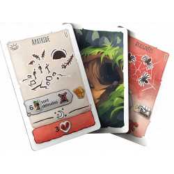 Paleo, Z-Man Games, extension Caverne