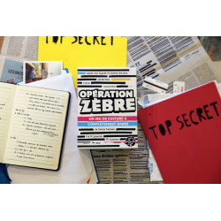 Opération Zèbre, Big Moustache Games