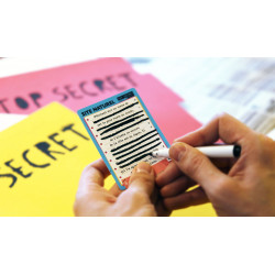 Opération Zèbre, Big Moustache Games