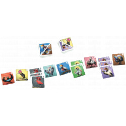 Crazy Birds, The Game Factory