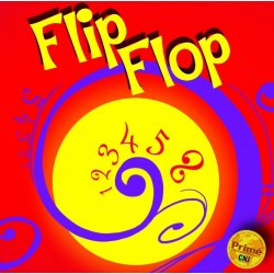 Flip Flop