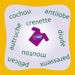 Pas de Lézard, Flip Flap éditions