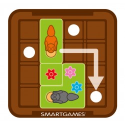 Cache Noisettes ! Smart Games