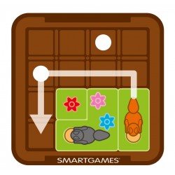 Cache Noisettes ! Smart Games