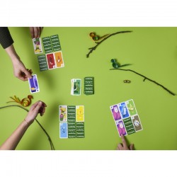 Papageno, Helvetiq : composer la colonie d'oiseaux la plus légère !