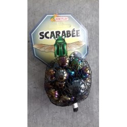 20 billes + 1 calot Scarabée