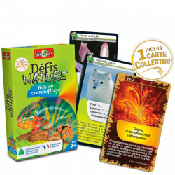 Défis Nature - Rois du camouflage, Bioviva