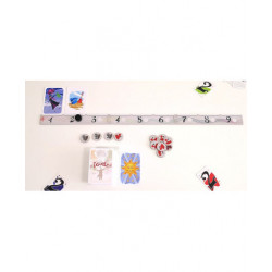 Ensemble, Ergo Ludo Editions : Votez tous pour la même image, sans se concerter.