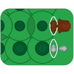 Parc’ours en forêt, Smart Games