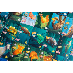 Living Forest, Ludonaute